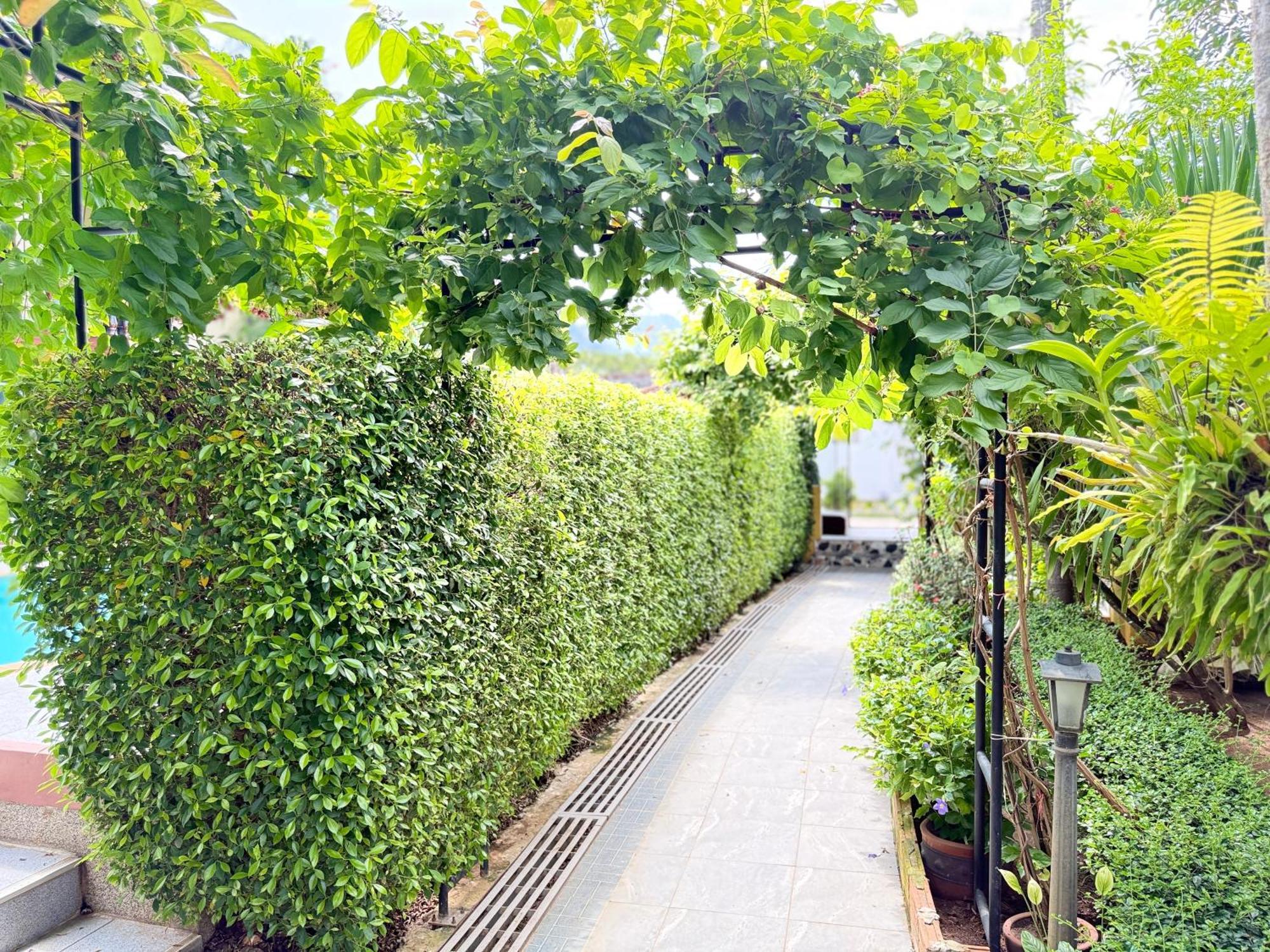 Family Bungalow Kamala Εξωτερικό φωτογραφία